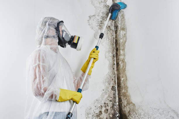 Water Damage Restoration in Winsted, MN