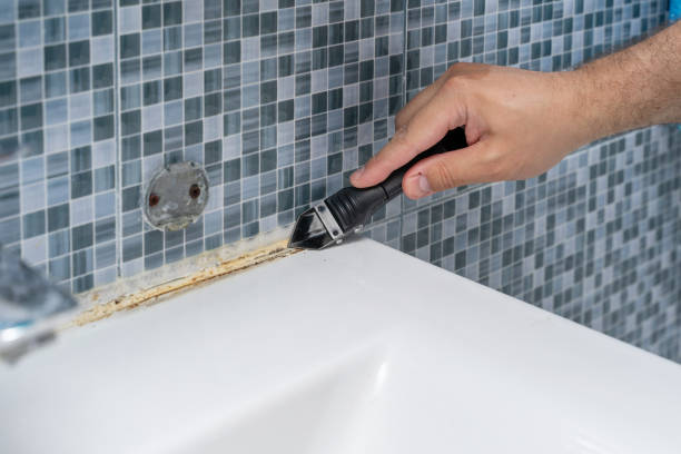 Best Office Mold Removal Services  in Winsted, MN